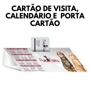 COMBOS CALENDÁRIO, PORTA CARTÃO E CARTÃO DE VISITA  4x4  Verniz uv total fr  